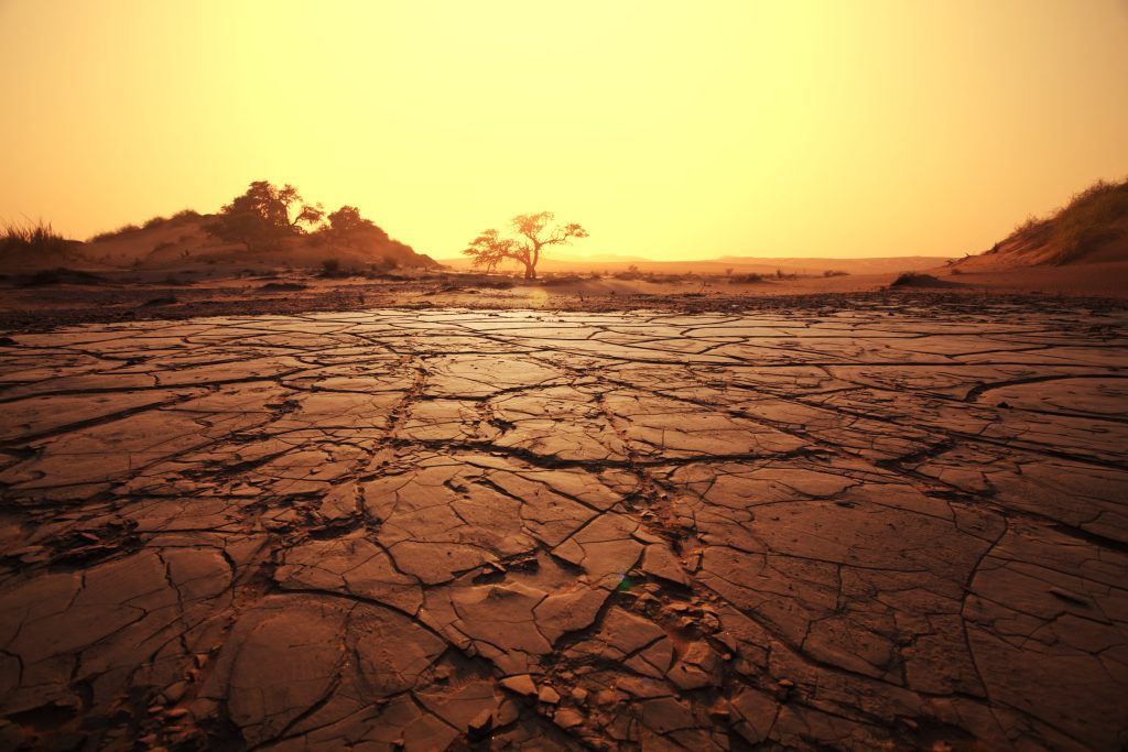 Foto: Imagen de kamchatka en Freepik