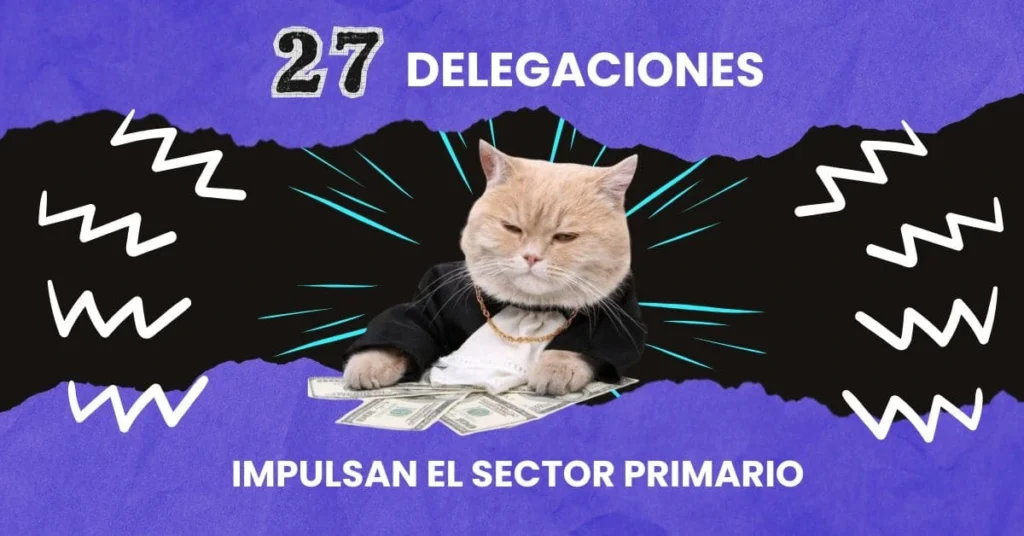 27-delegaciones-Puebla